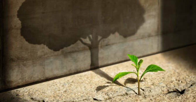 Embrace Hope