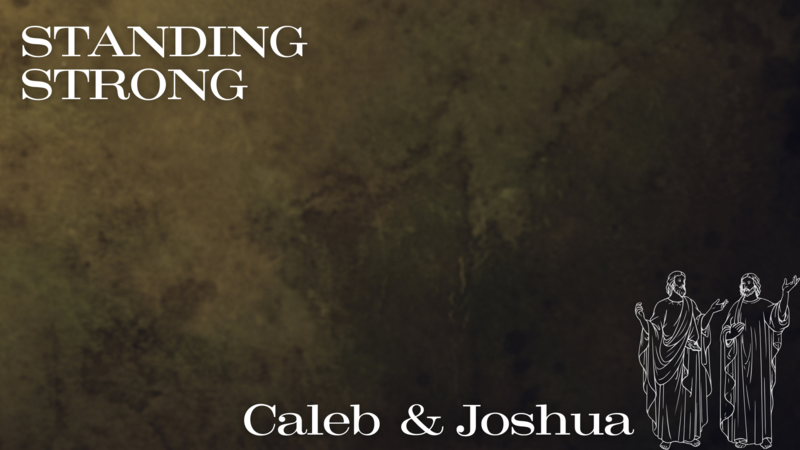 Caleb and Joshua