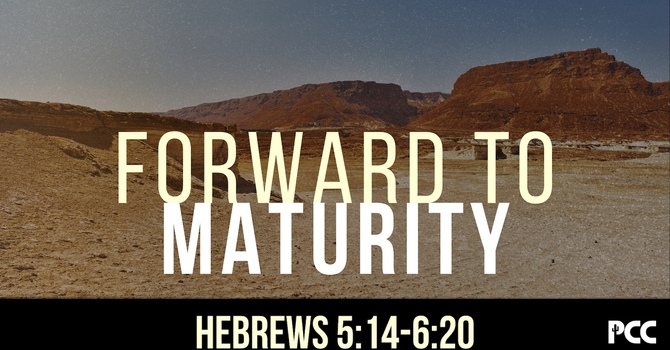 Forward to Maturity 