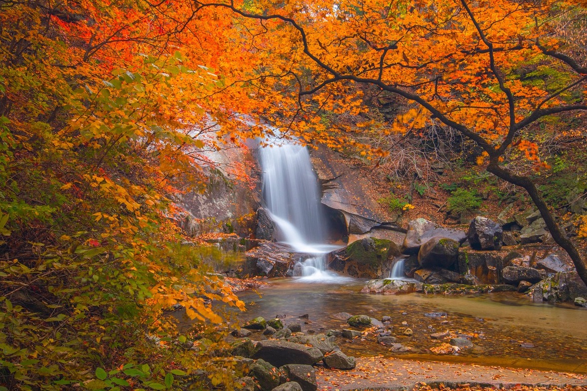 Slideshow image