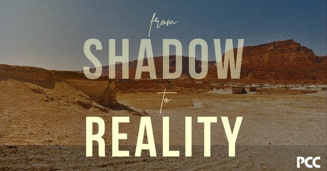 From Shadow to Reality 