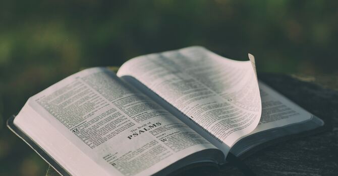 Hearing the Word with Gladness image