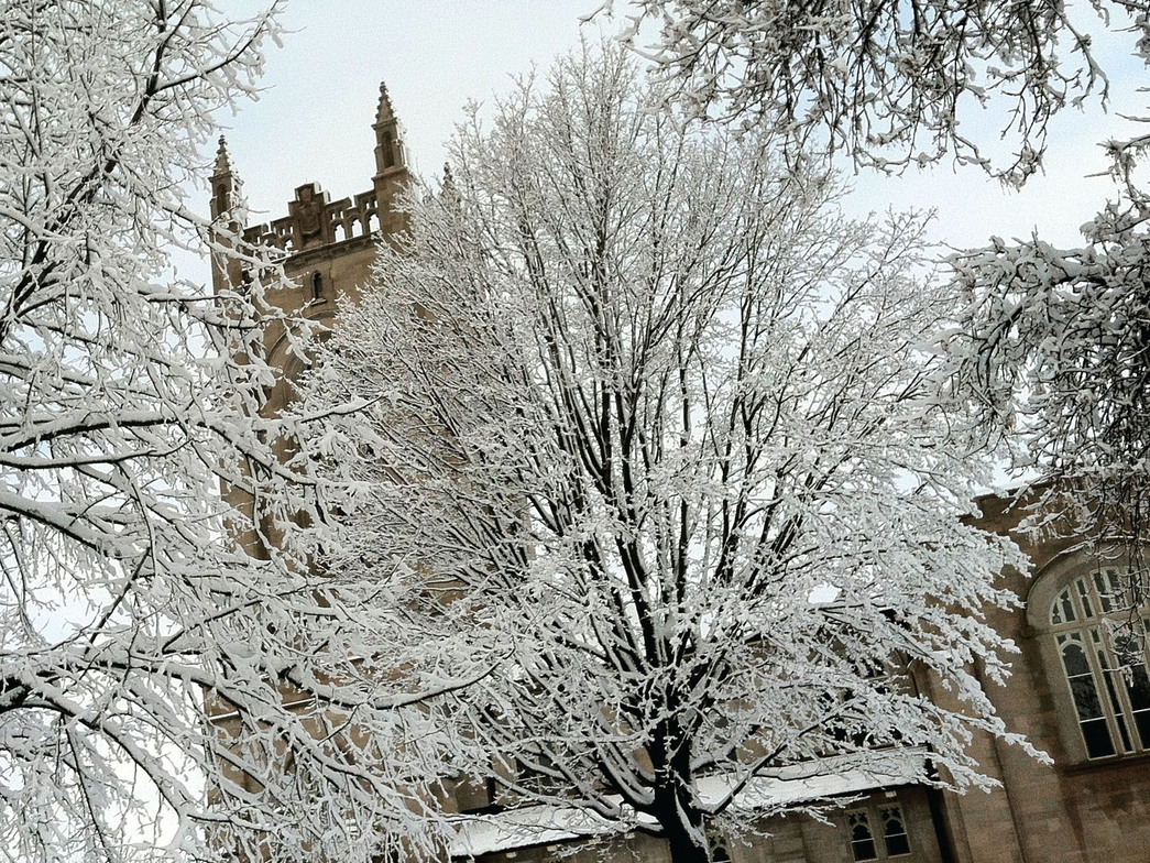 Slideshow image
