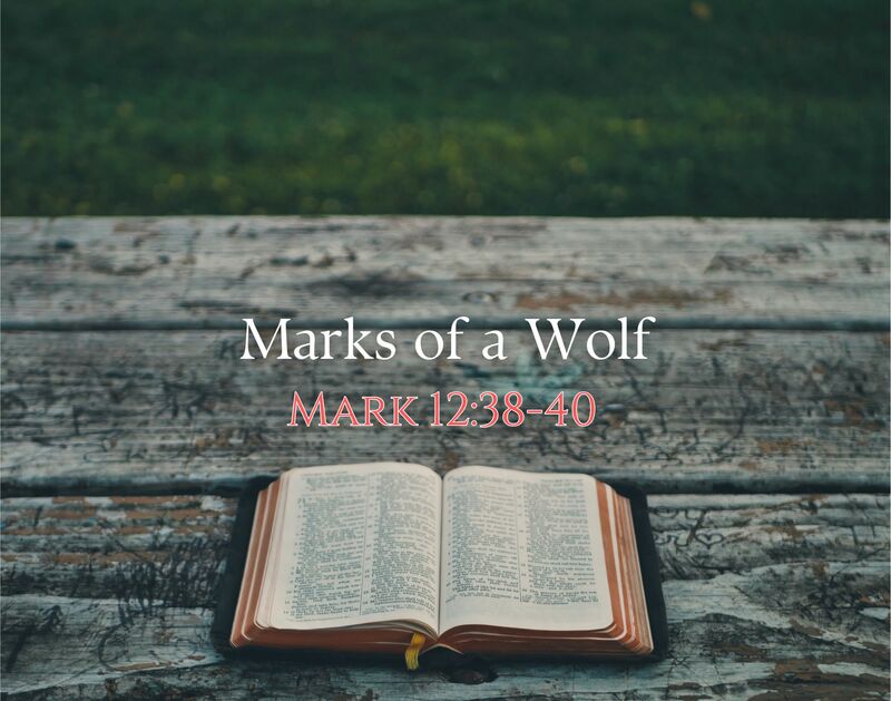 Marks of a Wolf