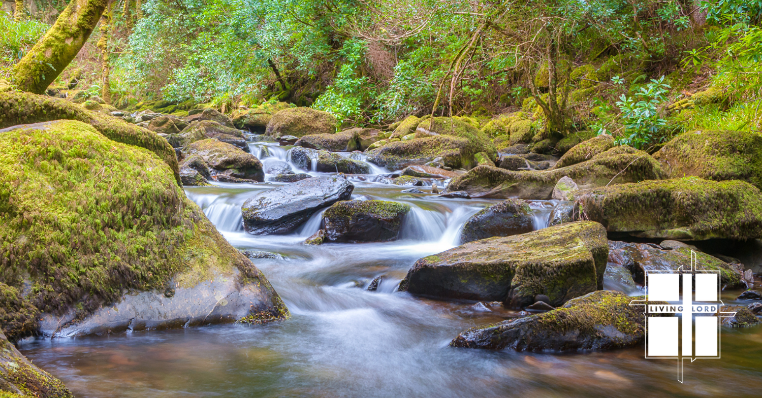 Slideshow image