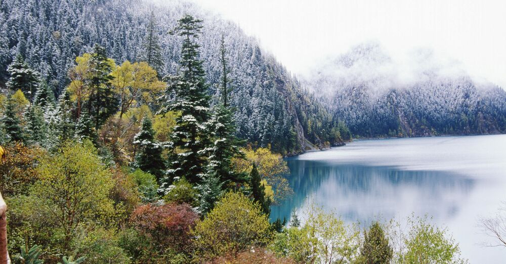 Nineteenth Sunday after Pentecost