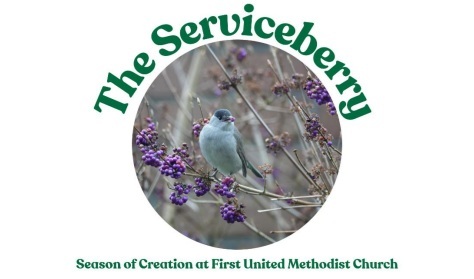 The Serviceberry (Season of Creation 2025)