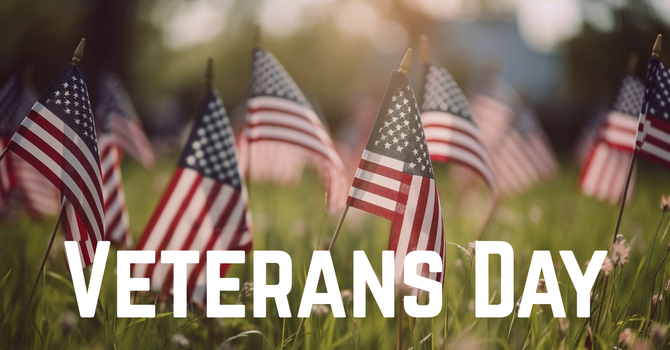 Observing Veterans Day