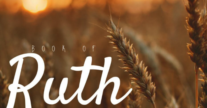 Hope In The Midst Of The Hurt 