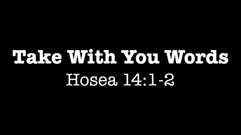 Take With You Words