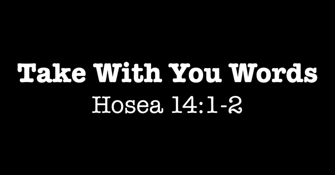 Take With You Words
