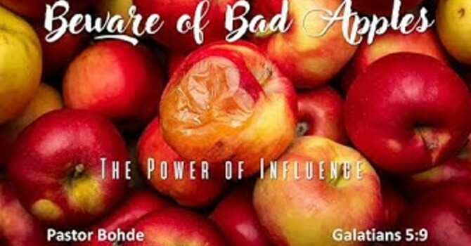 "Beware Of Bad Apples"