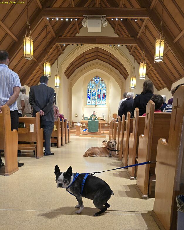 Slideshow image