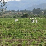 nav image