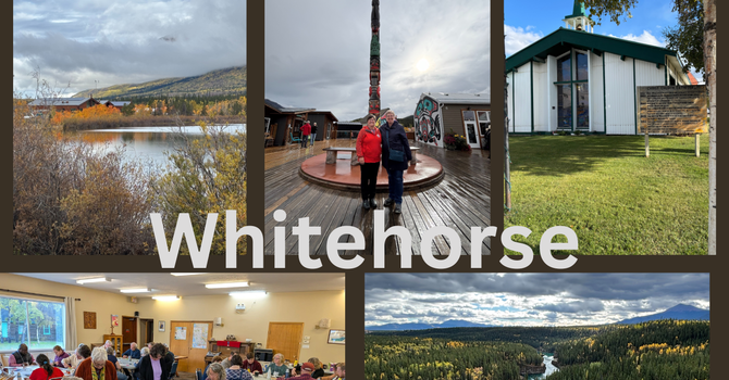 Territory Bulletin image