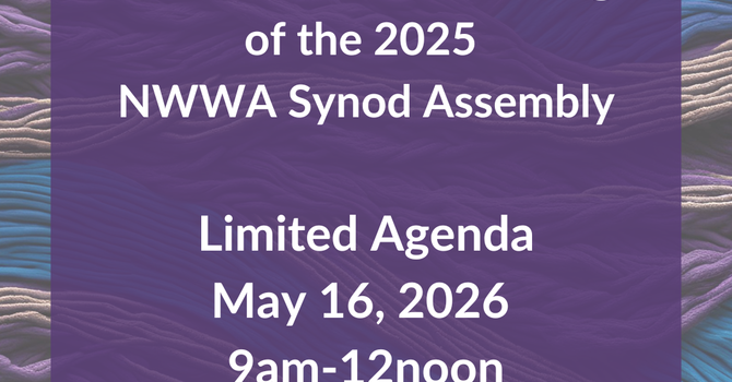 Announcement of a Special Meeting of the 2025 Synod Assembly image
