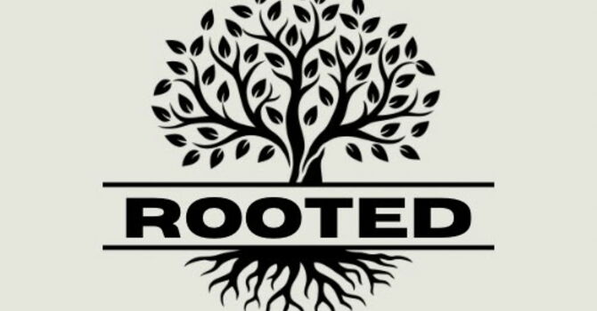 ROOTED