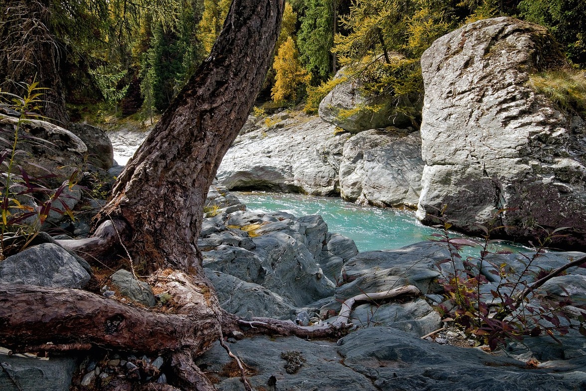 Slideshow image
