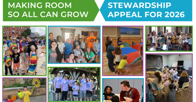 Stewardship Appeal for 2026