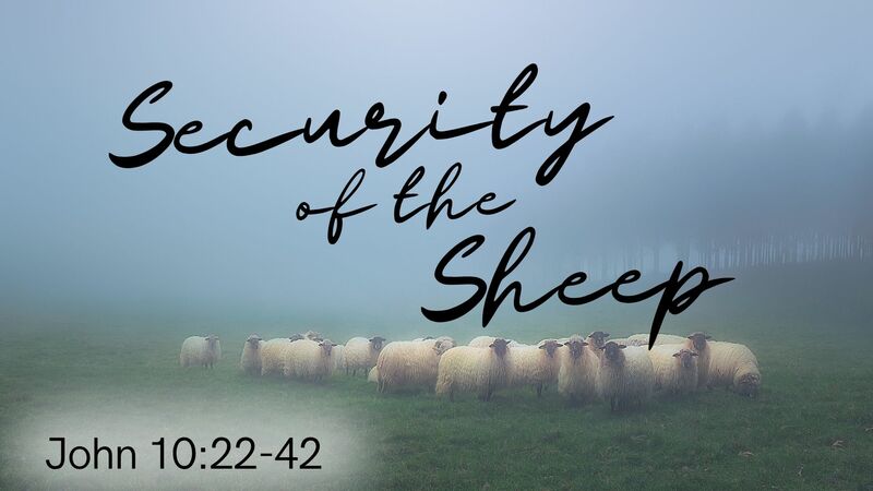 Security Of The Sheep