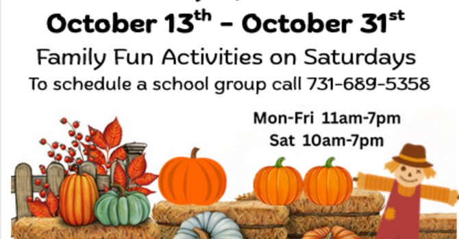 Pumpkin Patch