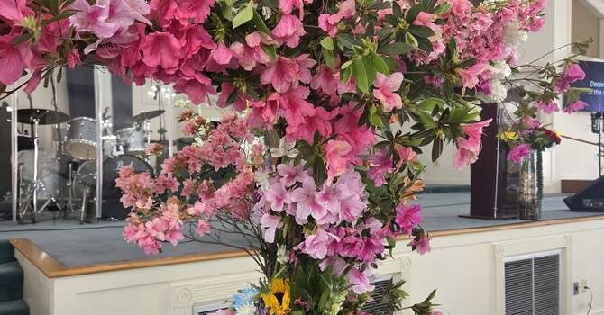 Last Week's Applications: image