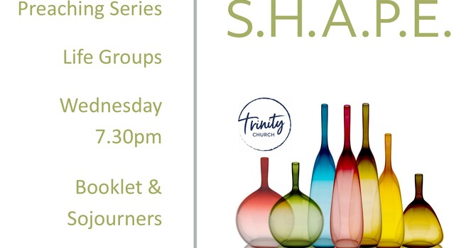 S.H.A.P.E. Group on Wednesdays