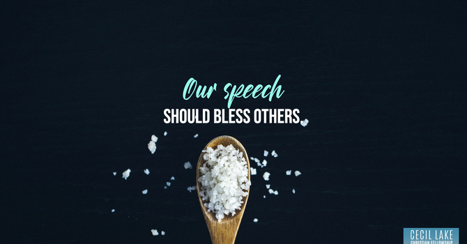 “SEASONED WITH SALT” image