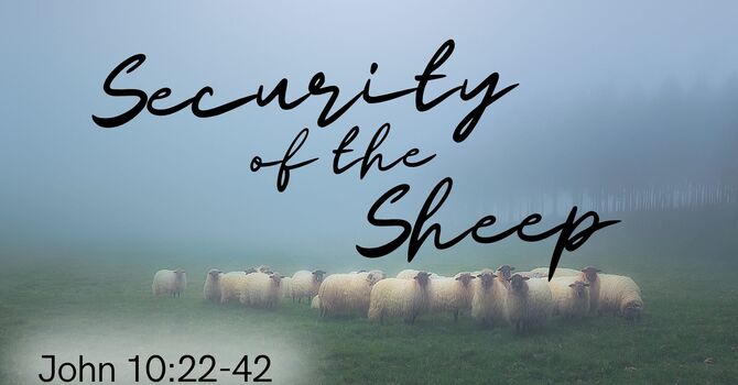 Security Of The Sheep