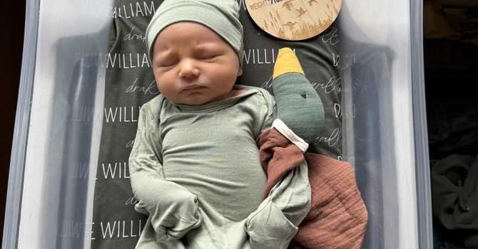 Another new baby! image