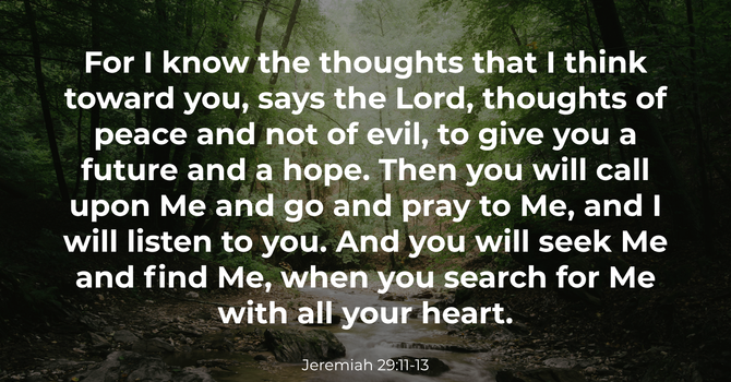 Jeremiah 29:11-13 image