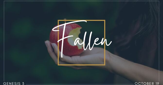 "Fallen" October 19, 2025
