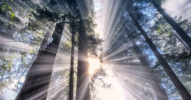 Wednesday, Oct 22 – Seeing Through New Eyes