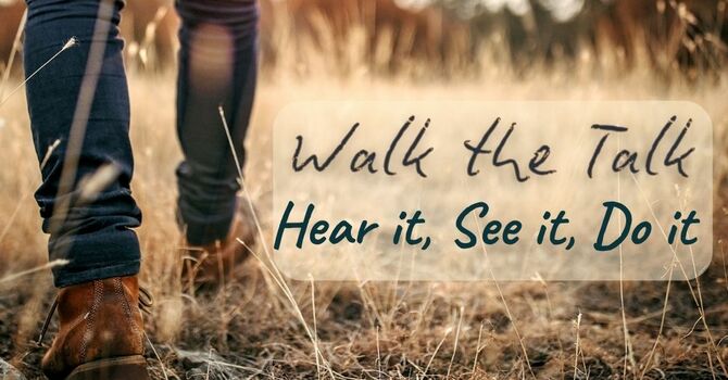 Walk the Talk - Hear it, See it, Do it