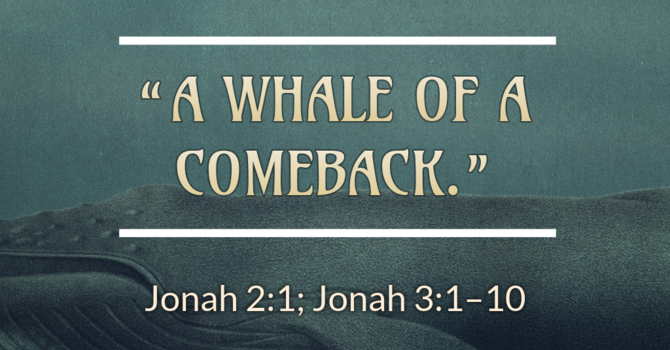A Whale of a Comeback!