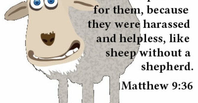 Office of the Apostle