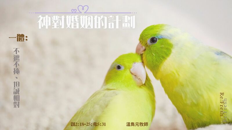 一體: 不遮不掩、坦誠相對