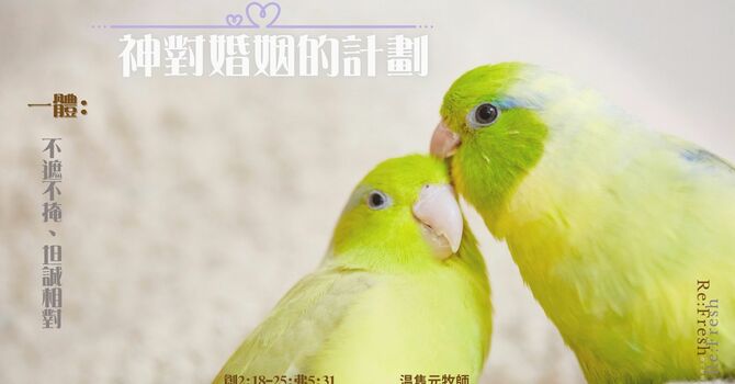 一體: 不遮不掩、坦誠相對
