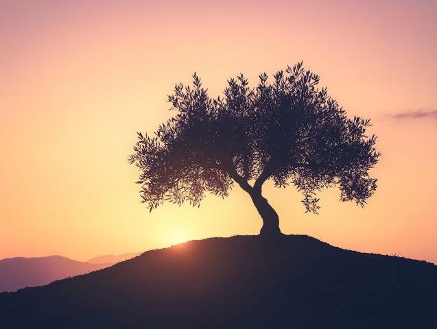 Slideshow image