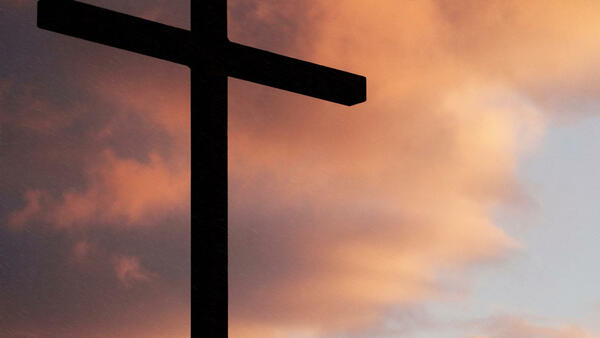 November Revival 2025