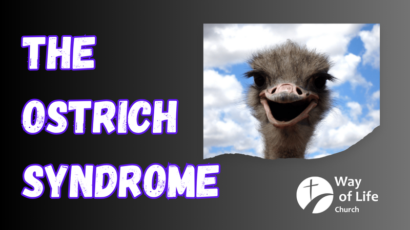 The Ostrich Syndrome