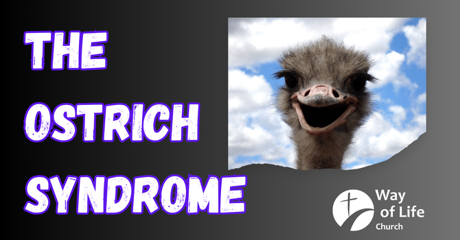The Ostrich Syndrome