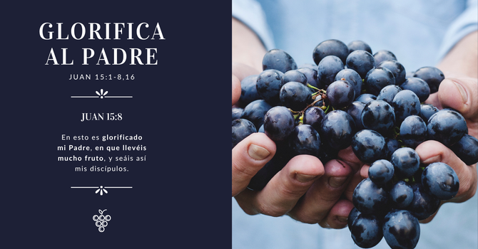 Glorifica al Padre