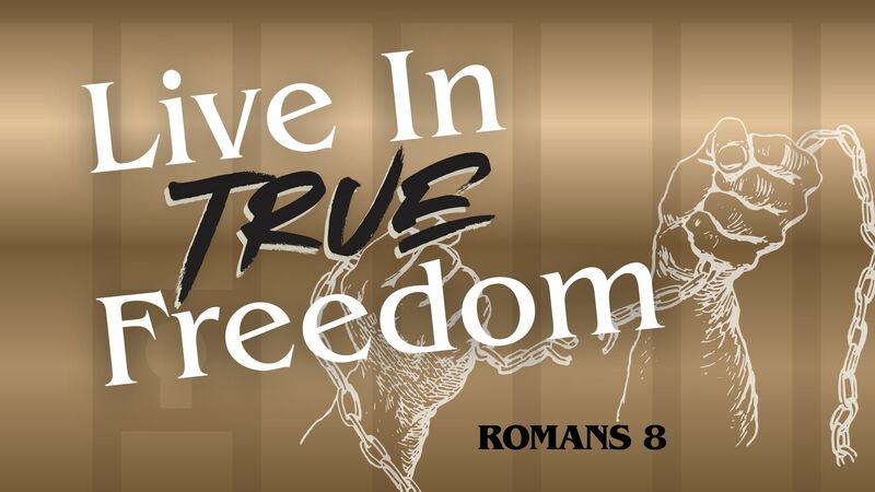 Live In True Freedom