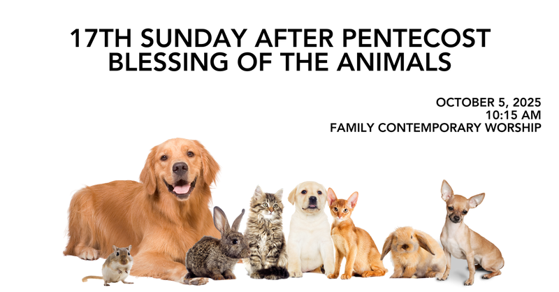 Seventeenth Sunday After Pentecost