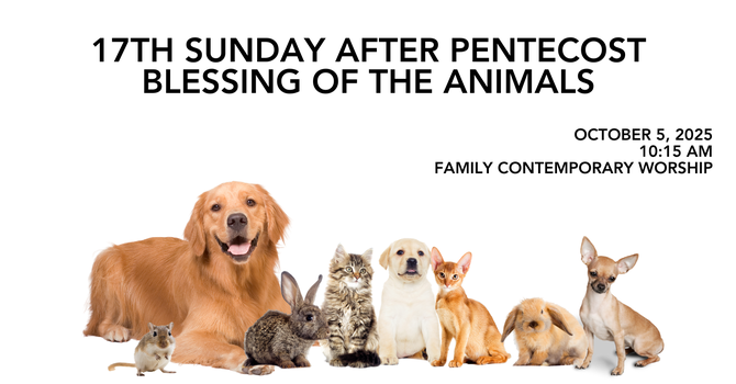 Seventeenth Sunday After Pentecost