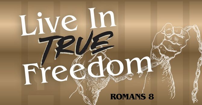 Live In True Freedom