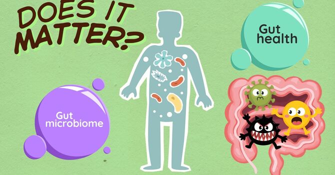 Does our Gut Health Matter? image