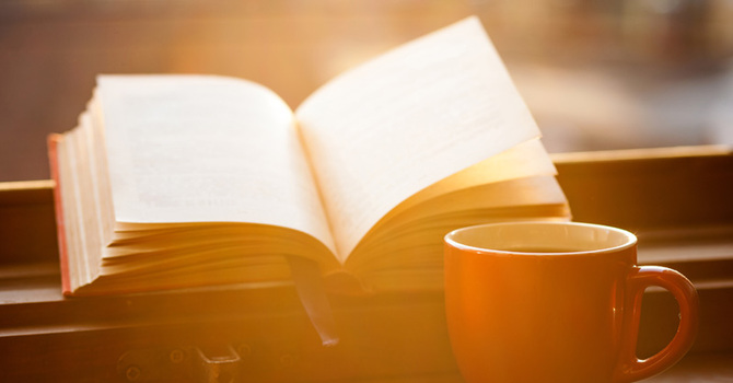 Advent Book Study
