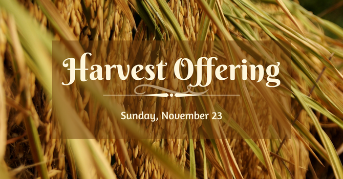 Harvest Offering